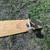 MAGNETO LONGBOARD skateboard works great 6 thumbnail