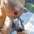 Gemmy Buck The Animated Trophy Singing Deer Head Mount 11 thumbnail
