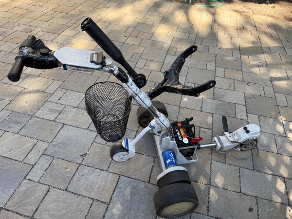 Remote Control Golf Cart 1