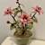 Vintage Bonsai tree with pink glass flowers on Celadon Base 1 thumbnail