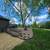 🌿 Professional Landscaping Tree Removal -Transform Your Yard Today! 16 thumbnail