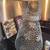 Wire Sculpture Dress Art 18”x25” 6 thumbnail