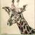 Beautiful Serengeti Plains Safari Animals Wall Art 1 thumbnail