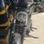 Harley Davidson bikes for sale 5 thumbnail