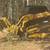 Land clearing underbrushing 18 thumbnail