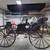FRINGE TOP SURREY BY 0NEIDA CARRIAGE WORK BUILT 1879 8 thumbnail