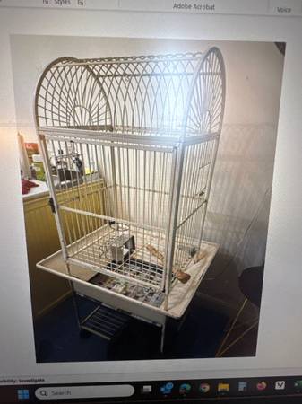 Vintage Bird Cage 1