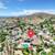 OPEN HOUSE - 10321 COMISKEY WAY 4 thumbnail