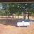 Home for sale with 5 acres 2 thumbnail