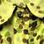 Pale Green Print Crepe Pleated Blouse 4 thumbnail