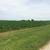 Starved Rock - 5-Acre+ lots 5 thumbnail