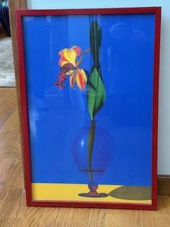 “Iris” 1