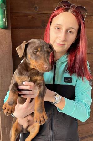 Looking to rehome small breeed puppy63953271301762120