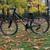 24” Specialized Hotrock 8 Speed Boy’s Mountain Bike Like New MINT 10 thumbnail