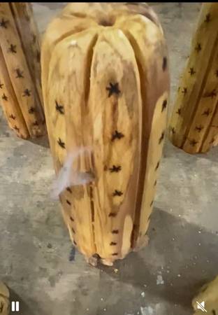 Cactus san Pedro en palosanto 1