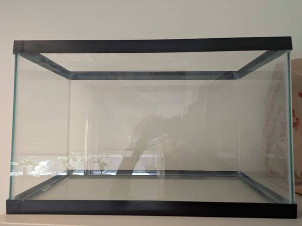 10-Gallon glass aquarium 1
