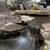 Koi Ponds, Waterfalls, Fountains, Turf, Pavers, Landscape 6 thumbnail