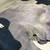 Cowhide leather hair on 25-30 square feet. Made in Italy 3 thumbnail