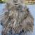 2014 Excel 2172 CatPro 7 thumbnail