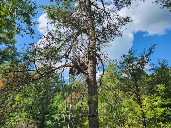 $59,900 10 Acres Prime Camping Location! Wilderness Trail (Luther)64037897002114123