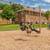 Located in Hopkins, 1/BD 1/BA, Garages Optional 1 thumbnail