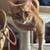 Sweetest Boy Cat ! Pan Pan 2 thumbnail