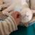 Rehoming White Female Cat 3 thumbnail