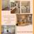 Beautiful 1 bed / 1 bath in a great neighborhood! Ready to view now! 1 thumbnail