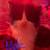 kittens 2 thumbnail