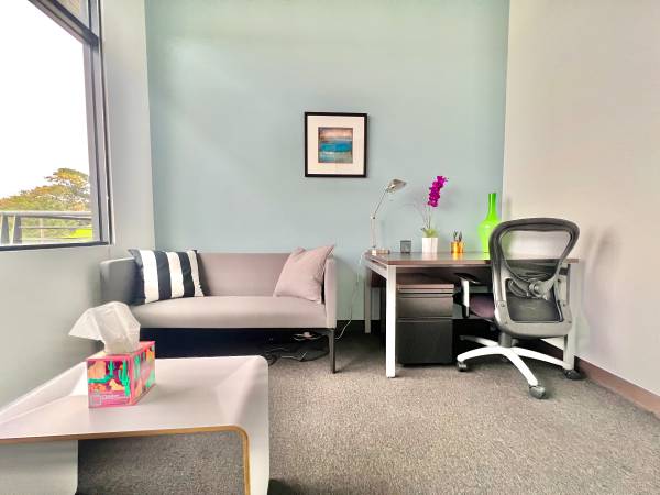 🌞Sun-Filled Private Office Space – Limited Holiday Offer‼️ 1