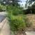 Lawn Mowing/Fall Clean Ups/Landscaping Projects 3 thumbnail