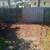 STUMP GRINDING & Surface Roots Removal by Brad Frederick's LLC 2 thumbnail