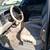 2001 Chevrolet Tahoe LT 7 thumbnail