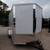 2025 Cross Trailers Cargo Trailer 7X14 Enclosed Cargo Trailer 2 thumbnail