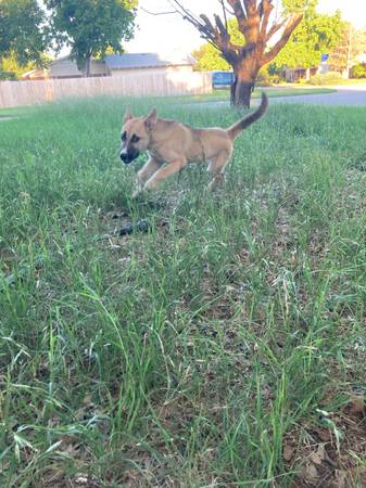 Oty (Wichita Falls)63852007357827120