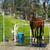 Horse Boarding on Quiet Horse Ranch North County 22 thumbnail