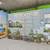 Gas Range, Open Concept, EV Chargers, Smart Home Technology 8 thumbnail