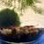 Desktop Jarrarium – Cherry Shrimp + Plants + Marimo 6 thumbnail