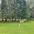 Mobile Home Lot between Rhinelander and Eagle River 3 thumbnail