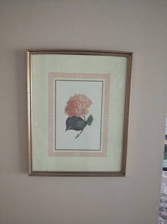 Framed Picture Art 1