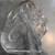 Glass Horse Head Etching 3 thumbnail