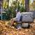 🍂 FALL CLEANUPS & LEAF REMOVAL 🍁 2 thumbnail