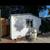 Tuff sheds in great condition low priced can use as an ADU rental 2 thumbnail