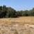 Deer lease 2 thumbnail