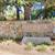 Gated WESTWOOD 1 Bedroom W/ Den + Virtual Tour, Perfect for Students 10 thumbnail
