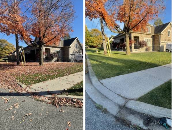 🍁 Leaf Clean Up 🍁 1