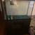 Fish tank and stand 45gal 2 thumbnail