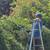 Landscape Technician 4 thumbnail