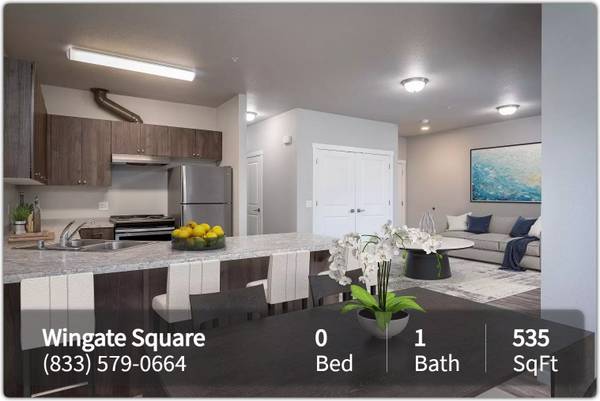 $1,349 / 535ft2 - Gorgeous luxury Studio! Exclusive neighborhood. Look no further! (Vancouver)63820795440001120