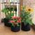 Grow Bags Aeration Fabric Pots w/Handles Root Container 6 thumbnail